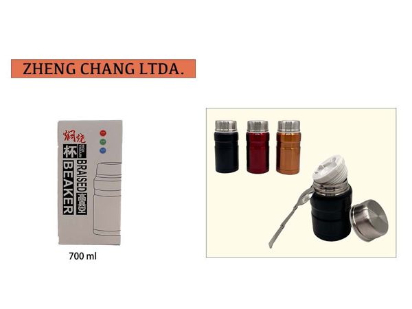 Termo 700ml (x6)