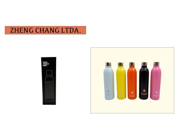 Botella-termo 480ml (x10)